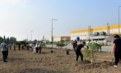 İzmir gençlerin eliyle yeşeriyor: Bornova’da 120 fıstık çamı toprakla buluştu