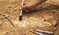 İzmir’in 2 turistik ilçesinde tarihi koruma kararı!