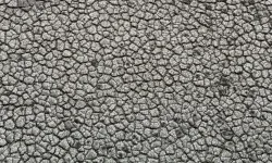 İstanbul'da barajlar alarm veriyor