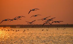 Ne Bodrum ne Marmaris: İşte İzmir'in birbirinden eşsiz gün batımı rotaları