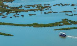 İZDENİZ’den doğa ve lezzet turları: İzmir’de kaçırılmayacak etkinliklere geri sayım başladı