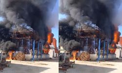 İzmir'de yangın alarmı: Salça fabrikasını alevler sardı