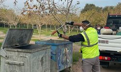 İzmir’de karasinekle yoğun mücadele