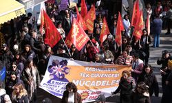 EMEP’ten 25 Kasım açıklaması: Devlet failleri kolluyor!