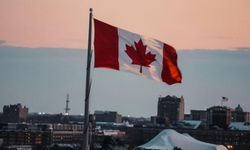 CHP üyelerine sığınma iddiaları gündem olmuştu: Büyükelçi Hamilton’dan açıklama