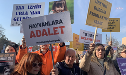 Köpeği yerde sürüklemişti: Belediye personeli hakkında yeni gelişme!