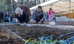 Mahalle bostanlarında kış dikimleri başladı: Kadınlar kendi hasadını üretiyor