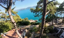 Akyaka Orman Kampı’na imar tehdidi: Valilik ihaleye çıktı!