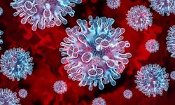 Yeni salgın ürkütüyor: H3N2 virüsü mutasyona uğradı!