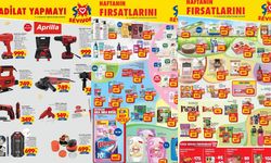 ŞOK Aktüel 19-25 Kasım kataloğu açıklandı: ŞOK kataloğunda bu hafta ne var?