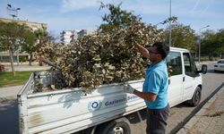 Gaziemir Belediyesi’nden temizlik hamlesi: Bahçe atıkları kapı kapı toplanıyor