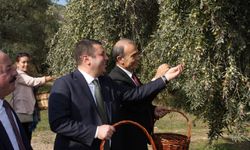 Torbalı’dan dünya pazarına: 8 bin yıllık miras yeniden canlandı