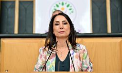 DEM Partili Hatimoğulları, komisyonun Öcalan ile ne konuştuğunu açıkladı