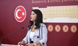EMEP’li Karaca: İfade özgürlüğü keyfi biçimde engelleniyor