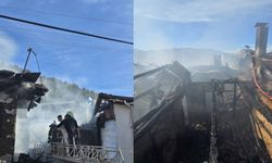 Alevler yuvalarını aldı: Boz çifti hayatını kaybetti