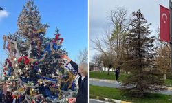 Yılbaşı ağacına kezzaplı saldırı iddiası