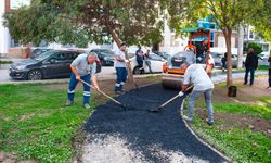 Karşıyaka Belediyesi’nden parklara aralıksız bakım