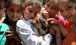 Karşıyaka’da 40 bin can dosta şefkat eli