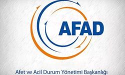 AFAD’da şüpheli köpek ölümü iddiası: 6 kedi de kayıp!