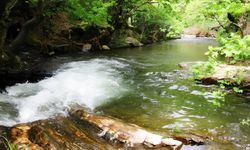 Asırlık çınarların gölgesinde hafta sonu kaçamağı: İzmir’in bu şirin köyü keşfedilmeyi bekliyor