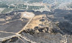 CHP’li Rızvanoğlu Bayraklı üzerinden uyardı: Bir orman, bir gecede orman vasfını kaybeder mi?