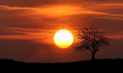 Kuzey Yarım Küre kışı en uzun gece ile karşılıyor: İşte birbirinden ilginç 21 Aralık kış gündönümü ritüelleri!