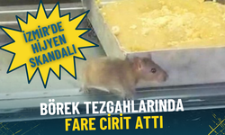 İzmir’de hijyen skandalı: Börek vitrini fareye yuva oldu, işletme mühürlendi