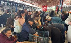 9 yaşındaki Ferit'ten örnek hareket: Mandalina satarak para kazanıyor!