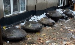 Yol çalışması sırasında bulundular: Gizemli taşlar araştırılmayı bekliyor