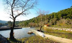 Yılın son günlerinde İzmir’de sakinlik arayanlara: Homeros Vadisi ve Bornova Deresi