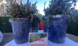 İzmir’de tek operasyonda 3 milyon uyuşturucu hap ele geçti: 46 kişi tutuklandı