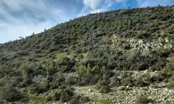 İzmir’de köye komşu kireçtaşı ocağı hamlesi