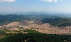 Kazdağları'nı yok edenlere çevre ödülü!