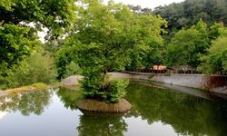 Kent merkezine yakın İzmir’deki en güzel göletler