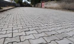 Kiraz’da hizmet gelmeyince vatandaşlar harekete geçti: Mahalleli hayvanlarını satarak sokaklarını yeniledi