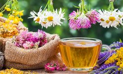 Kış aylarında hastalananlar şifayı bu bitki çaylarında buluyor