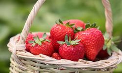 Kokusu ve aromasıyla biliniyor: İzmir’in lezzetinin ünü Avrupa’yı aştı