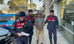 Talihsiz kaza: Kesilen ağacın dalı ölümüne sebep oldu