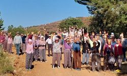 Türkiye’de gıda krizi kapıda: Gıda şirketlerinin tek derdi kar etmek