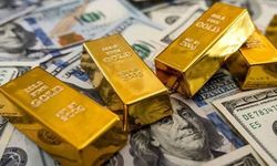 Kasım ayının en çok kazandıran yatırım aracı belli oldu