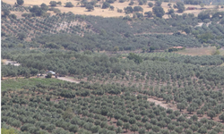 İzmir’de 49 yıllığına tahsis edilmişti: Bakanlık’tan 20 mahalleyi kapsayan projeye onay!