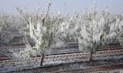 Türkiye’nin 2025 İklim Karnesi kırıklarla dolu!