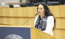 AP İnsan Hakları Komitesi: AİHM kararları kırmızı çizgimiz!