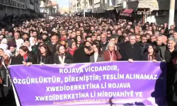 DEM Parti Nusaybin’de yürüdü: Kürt hakkını istiyor, kimsenin zoruna gitmesin!