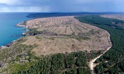 Sinop Nükleer Santrali’ne yargı kalkanı: ÇED kararına karşı açılan dava reddedildi!