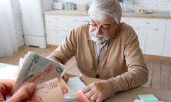 2026 Sosyal destek SED ödemeleri ne kadar oldu? 65 yaş aylığı, engelli maaşı, dul ve yetim maaşı kaç TL?