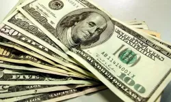 Doları olanlar dikkat: Bu yıl değer kaybedebilir