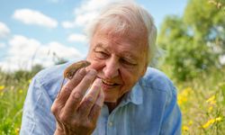 Elhamra Sahnesi’nde belgesel keyfi