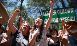 Akbelen’de katliam da mücadele de sürüyor: GES inşaatı yolda!