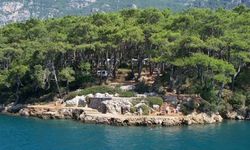 Akyaka Orman Kampı için ikinci dava: Yönetim planının iptali isteniyor!